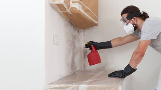 Professional Mold Remediation technician working in Levittown, PA