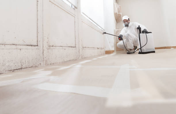 24/7 Emergency Mold Remediation experts in Levittown, PA